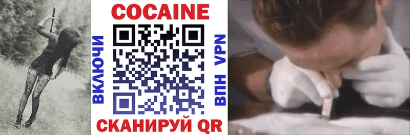 Купить  Бикин  КОКАИН Fish Scale 