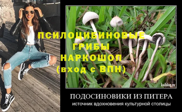 spice Туринск