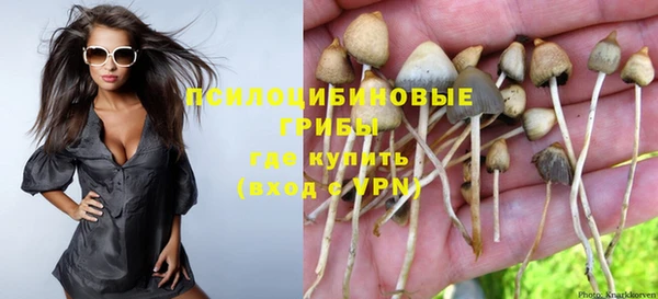 дмт Тында
