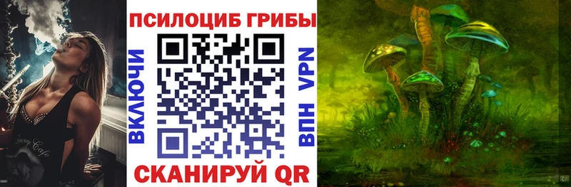Купить закладки  Бикин  Псилоцибиновые грибы мухоморы 