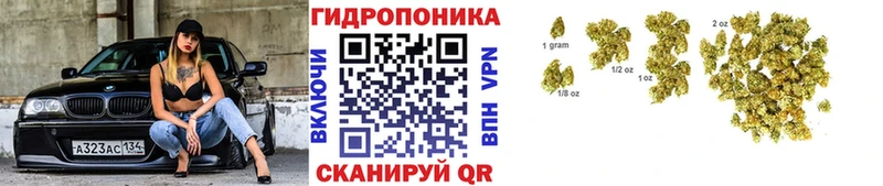 Купить  Бикин  Конопля ГИДРОПОН 